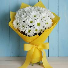 Букет цветов из:  Хризантемы в Касторное