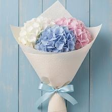 Букет цветов из:  Гортензия в Касторное