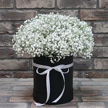 Цветочная композиция из Гипсофила в шляпной коробке в Касторное